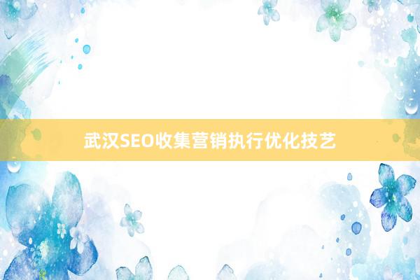 武汉SEO收集营销执行优化技艺
