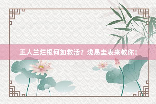 正人兰烂根何如救活？浅易圭表来教你！