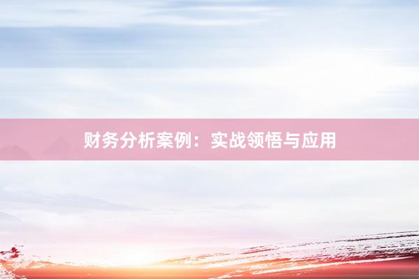 财务分析案例：实战领悟与应用